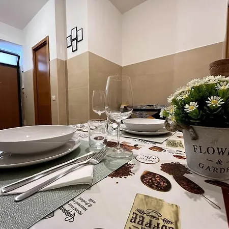 Dreams Under The Trees - Metro Termini *